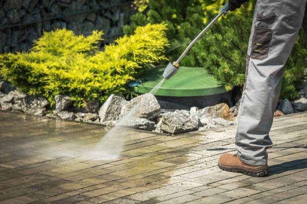 Best Boat and Dock Cleaning  in Aventura, FL